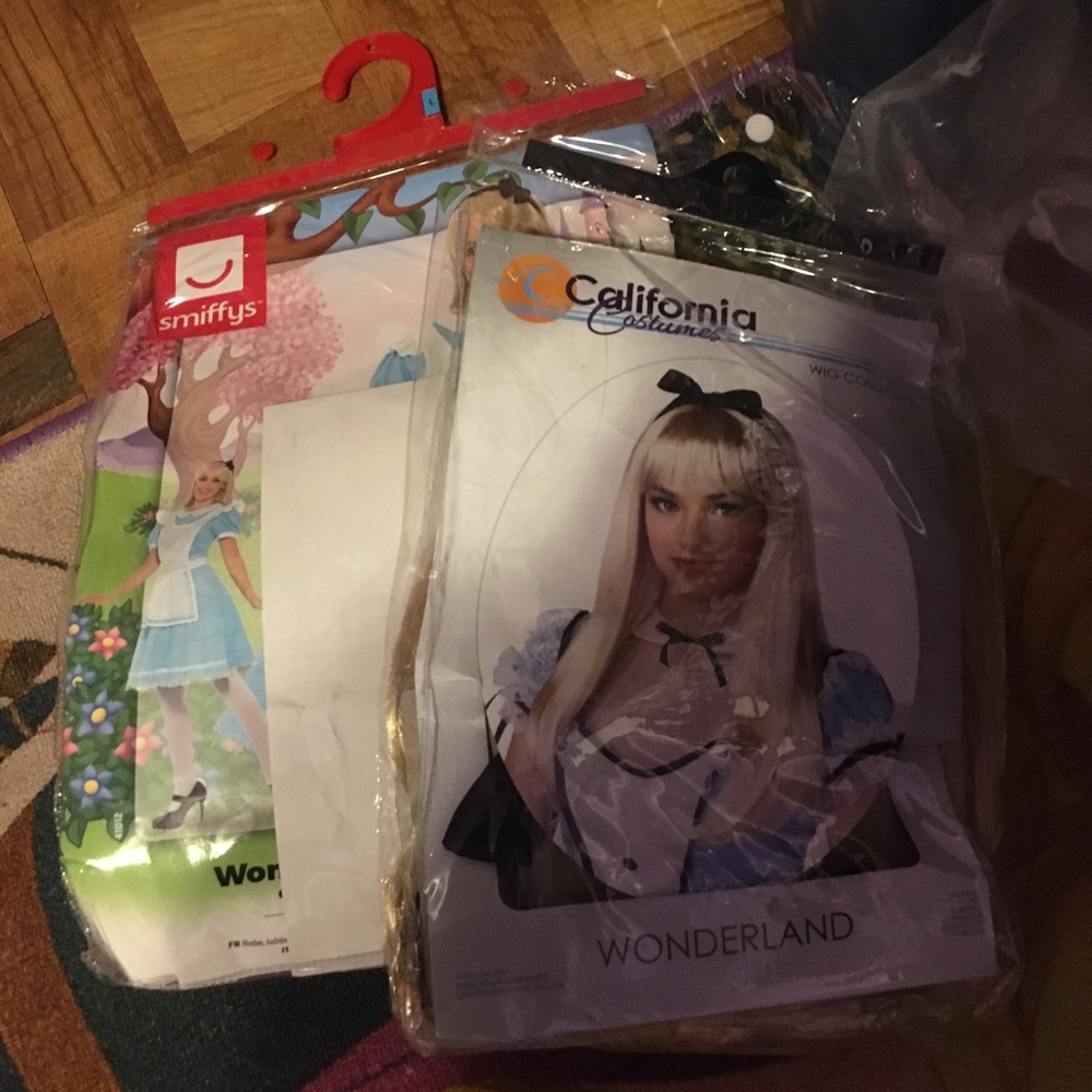Alice in wonderland costume and wig